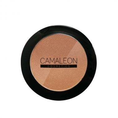 Bronzing powder