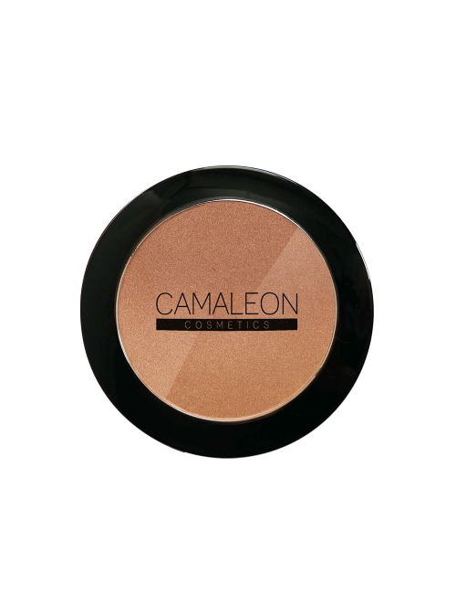 Bronzing powder